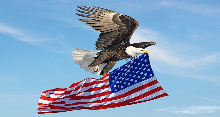 eagle with flag